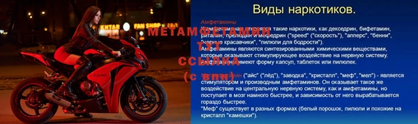 ПСИЛОЦИБИНОВЫЕ ГРИБЫ Белокуриха