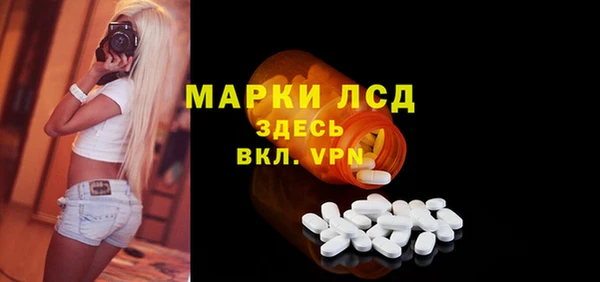 ПСИЛОЦИБИНОВЫЕ ГРИБЫ Белокуриха