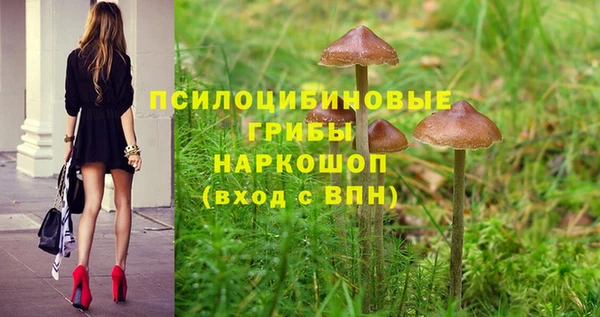 ПСИЛОЦИБИНОВЫЕ ГРИБЫ Белокуриха